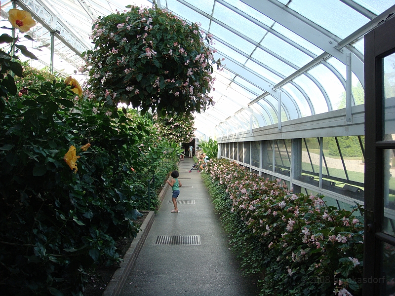 342 Longwood Gardens [2008 August 23].JPG - Longwood Gardens in Pennsylvania